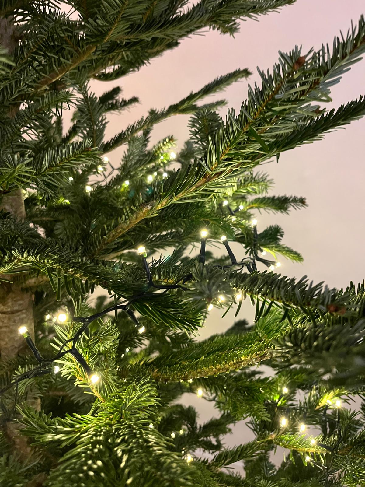 sapin de noël décoré lille