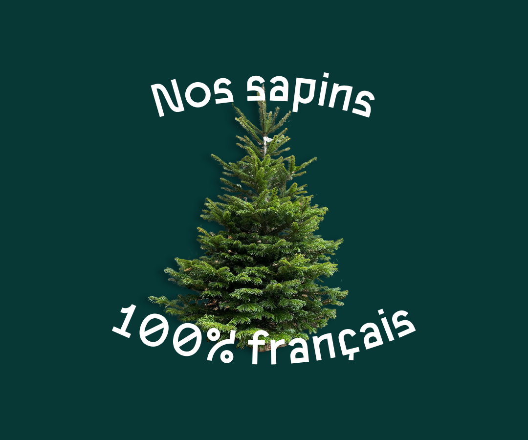 sapin de noël livraison lille