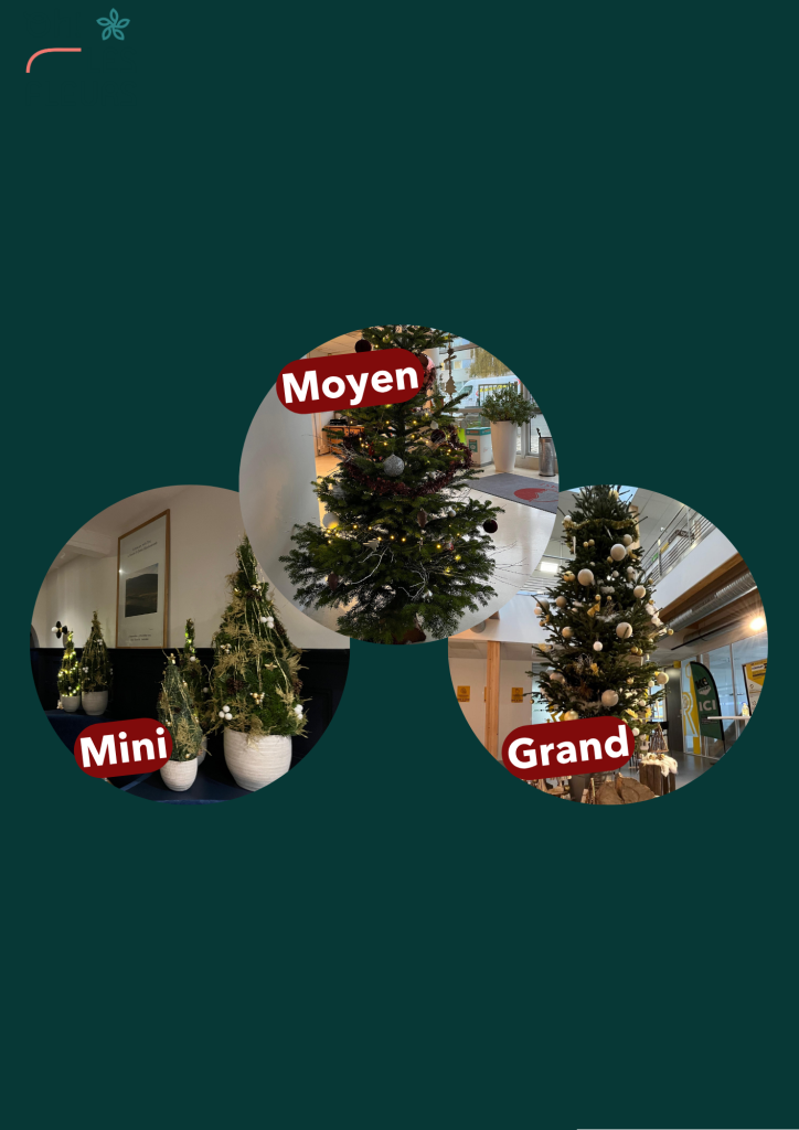 Nos tailles de sapins de Noël décorés