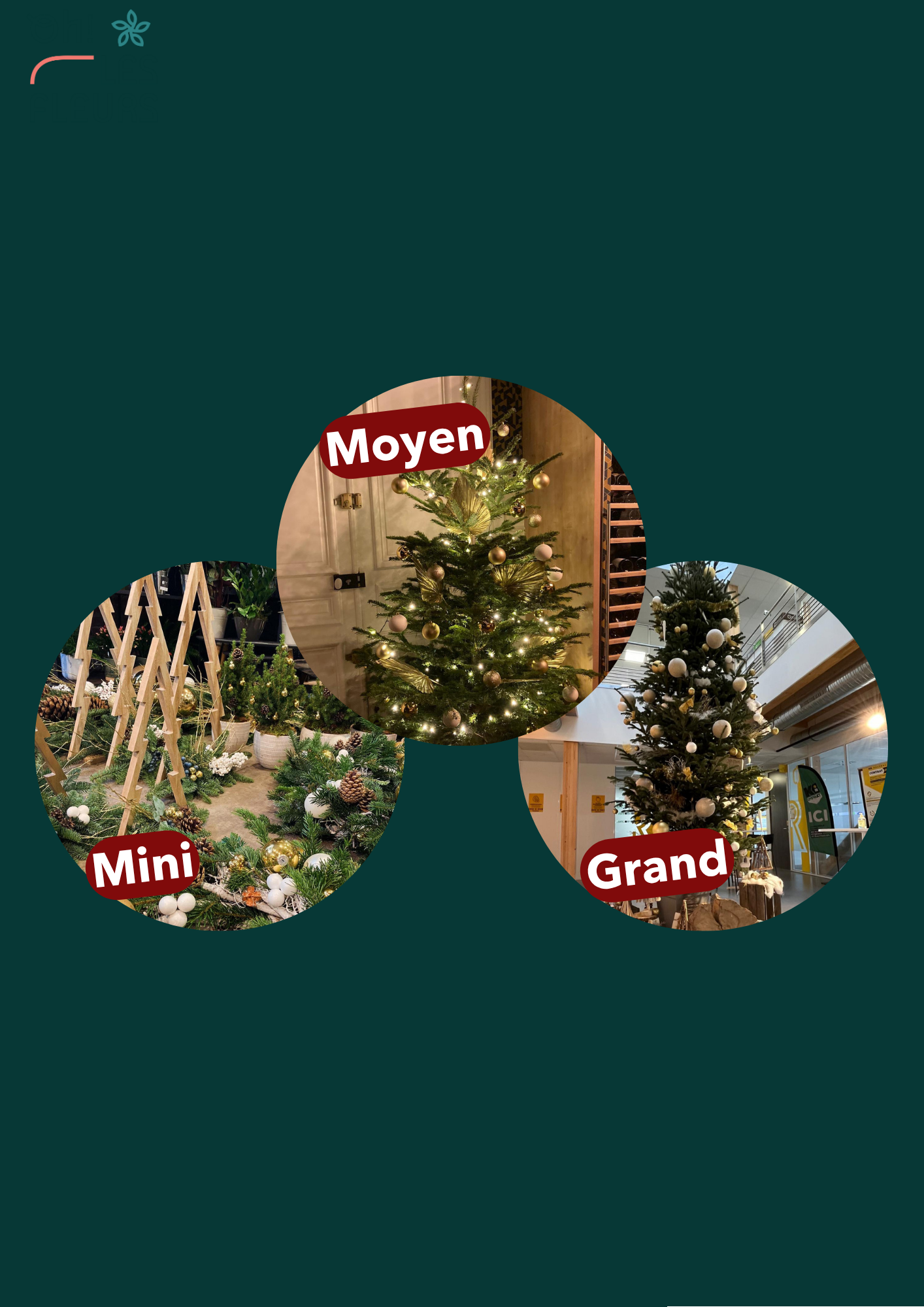 Nos tailles de sapins de Noël décorés
